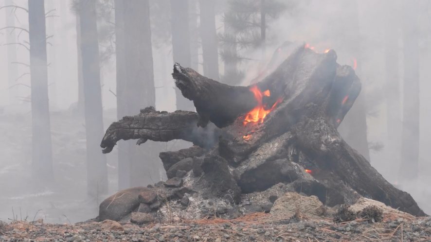 Wildfire leftovers.