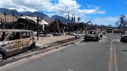Photo of Maui Fire after the flames