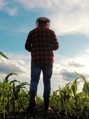 Farmer standing on his field.
