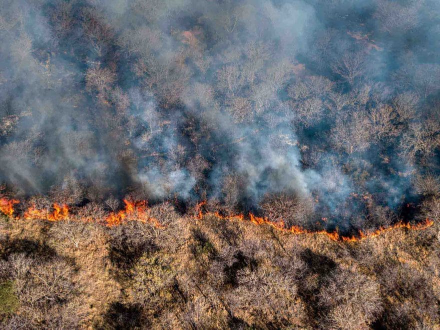 Image of fire in some field, half is burning, half not.